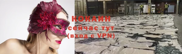 стаф Белоозёрский