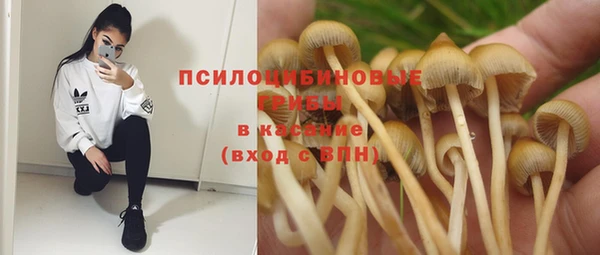2c-b Белокуриха