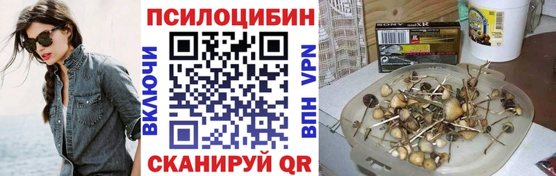 Галлюциногенные грибы Cubensis  как найти   Первомайск 
